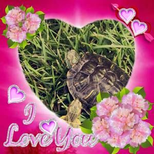 Meet your Posher, Jocelyn